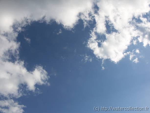 2004-08-20 18-32-43 Nature 28,0mm 1_400_eme F8,0 